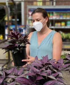 Xam-Med Respiratory Protection 10-Pack Disposable One Size Fits Most Painting; Sanding and Fiberglass Disposable Respirator 5 Xam-Med Respiratory Protection 10-Pack Disposable One Size Fits Most Painting; Sanding and Fiberglass Disposable Respirator -Menards Safety Shop 16396616