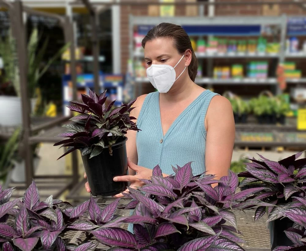 Xam-Med Respiratory Protection 10-Pack Disposable One Size Fits Most Painting; Sanding and Fiberglass Disposable Respirator 3 Xam-Med Respiratory Protection 10-Pack Disposable One Size Fits Most Painting; Sanding and Fiberglass Disposable Respirator - Image 3