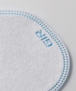 GIR Respiratory Protection Universal 10-Pack White Disposable Not Rated One Size Fits Most All-purpose Cartridge/Filter -Menards Safety Shop 17887219